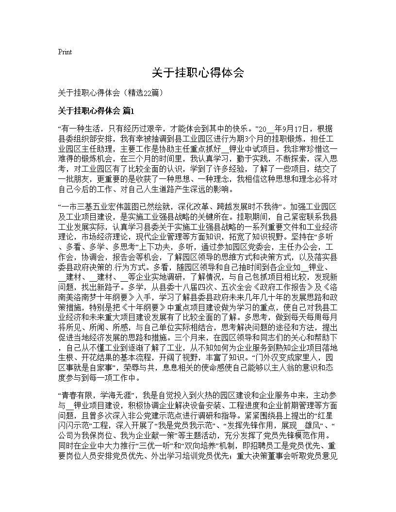 关于挂职心得体会22篇