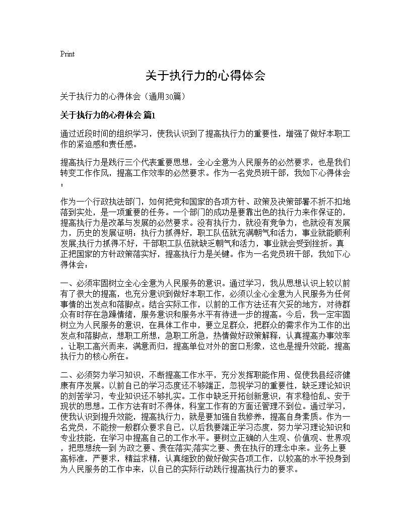 关于执行力的心得体会30篇