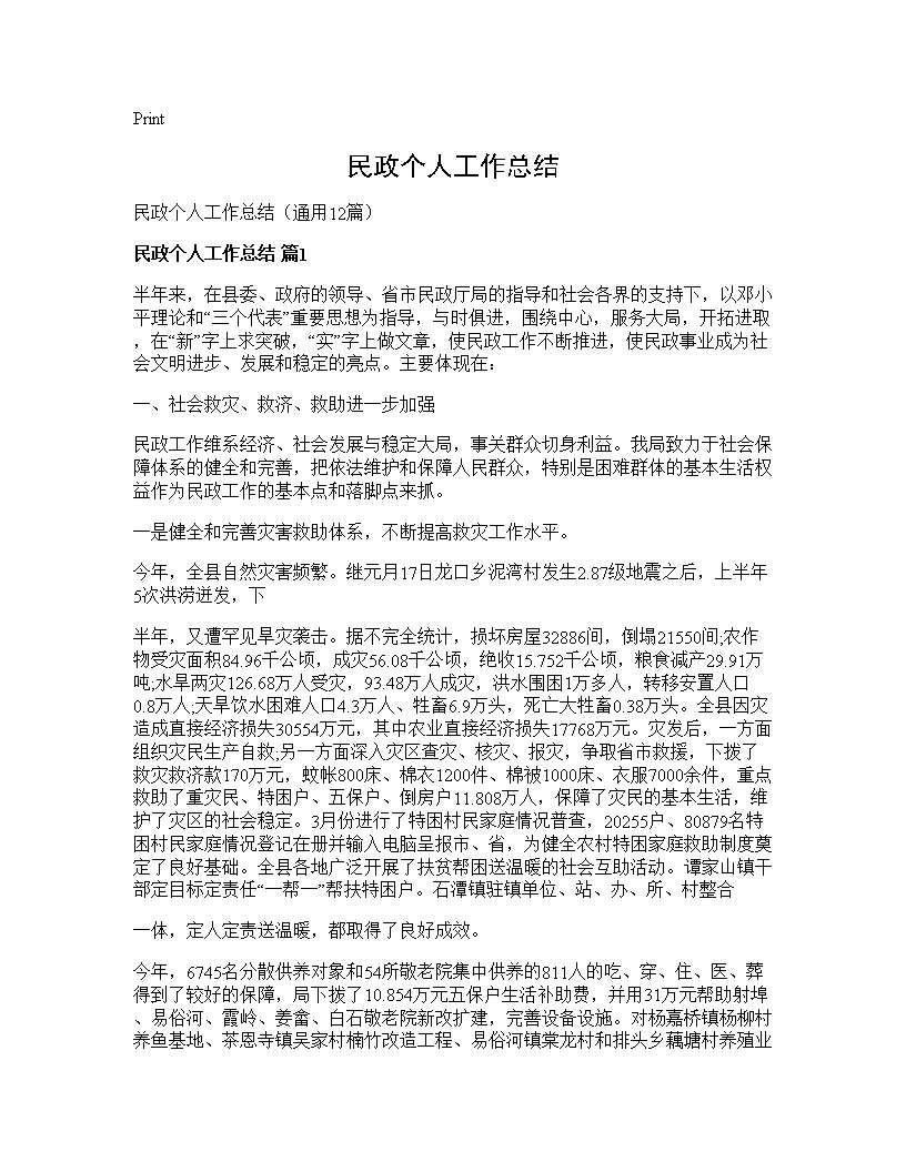 民政个人工作总结12篇