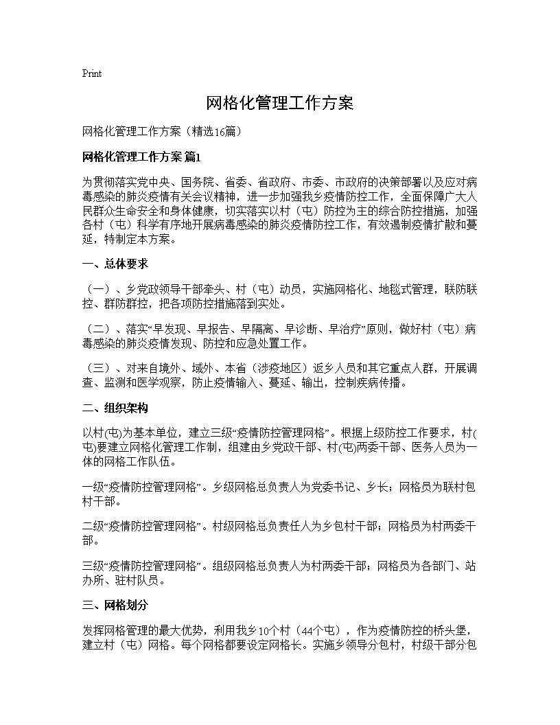 网格化管理工作方案16篇