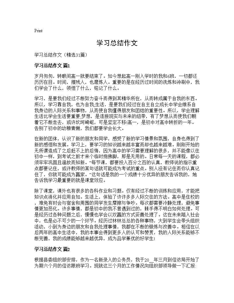 学习总结作文31篇