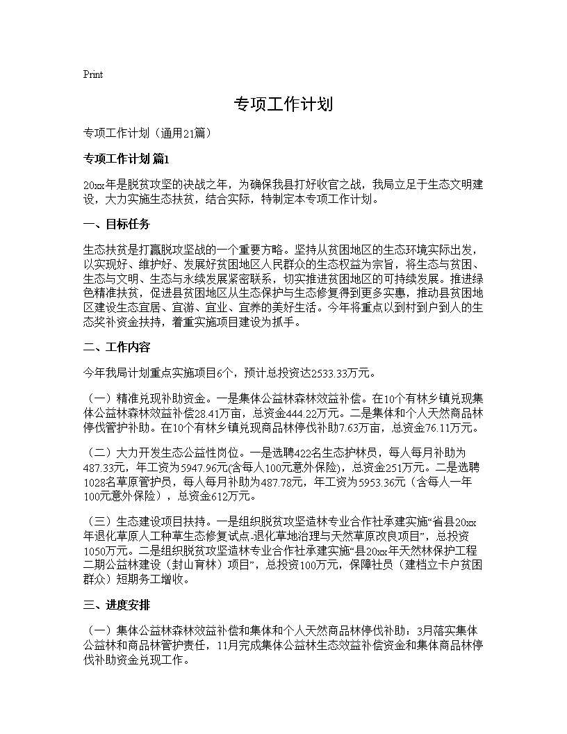 专项工作计划 (共33页)