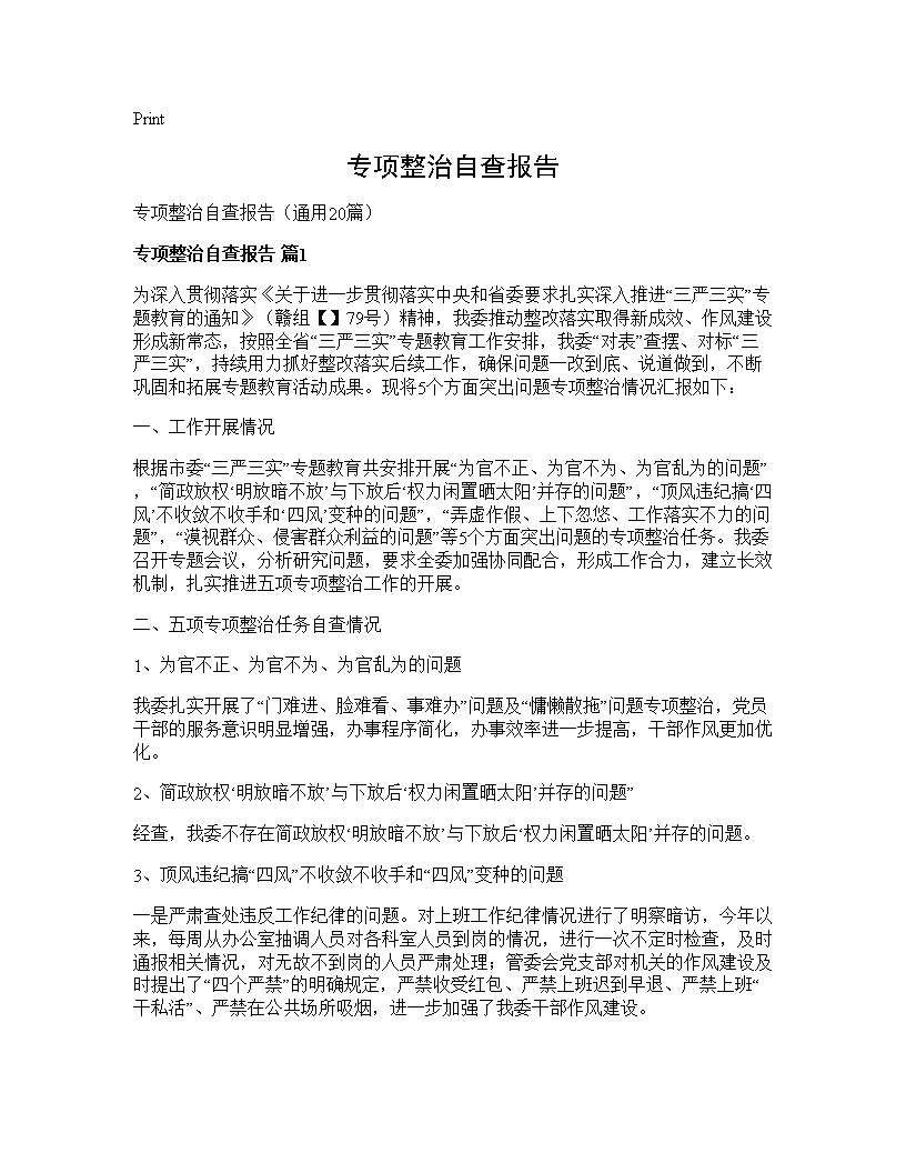 专项整治自查报告20篇