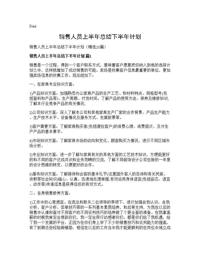 销售人员上半年总结下半年计划20篇