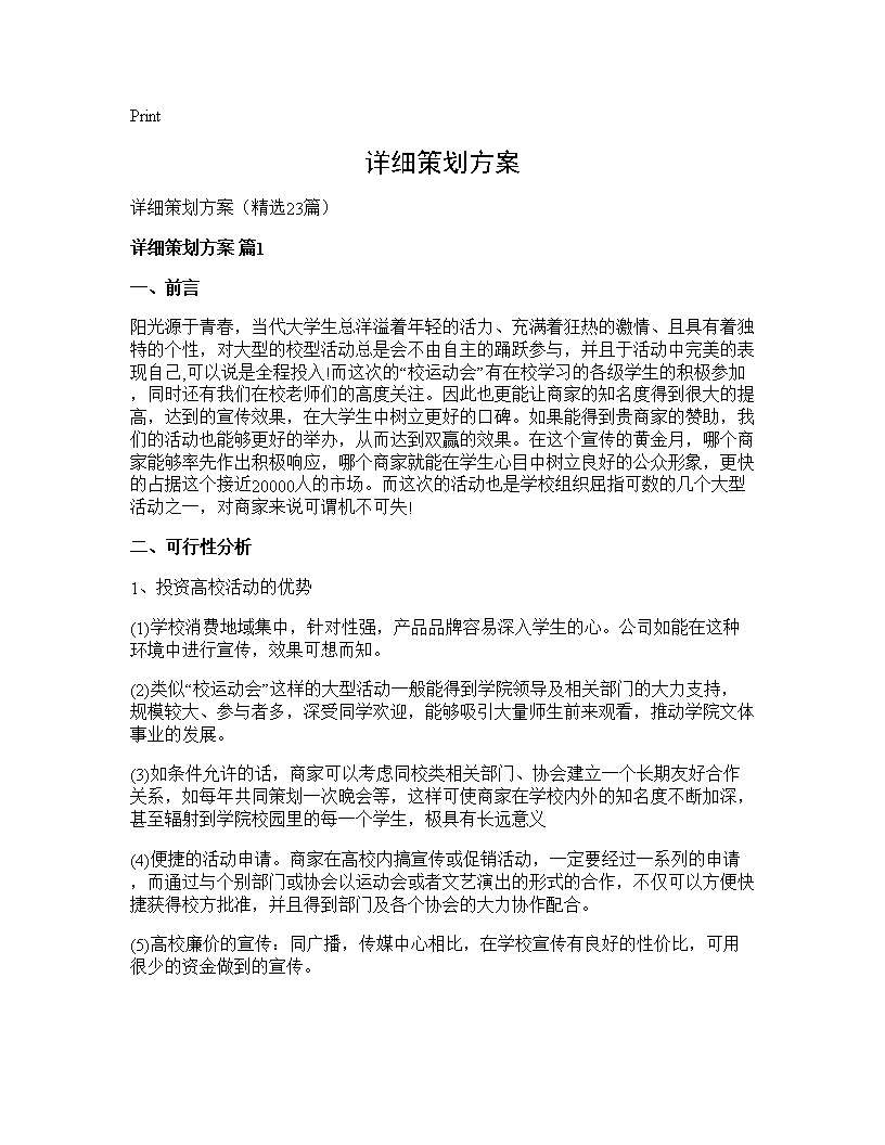 详细策划方案23篇