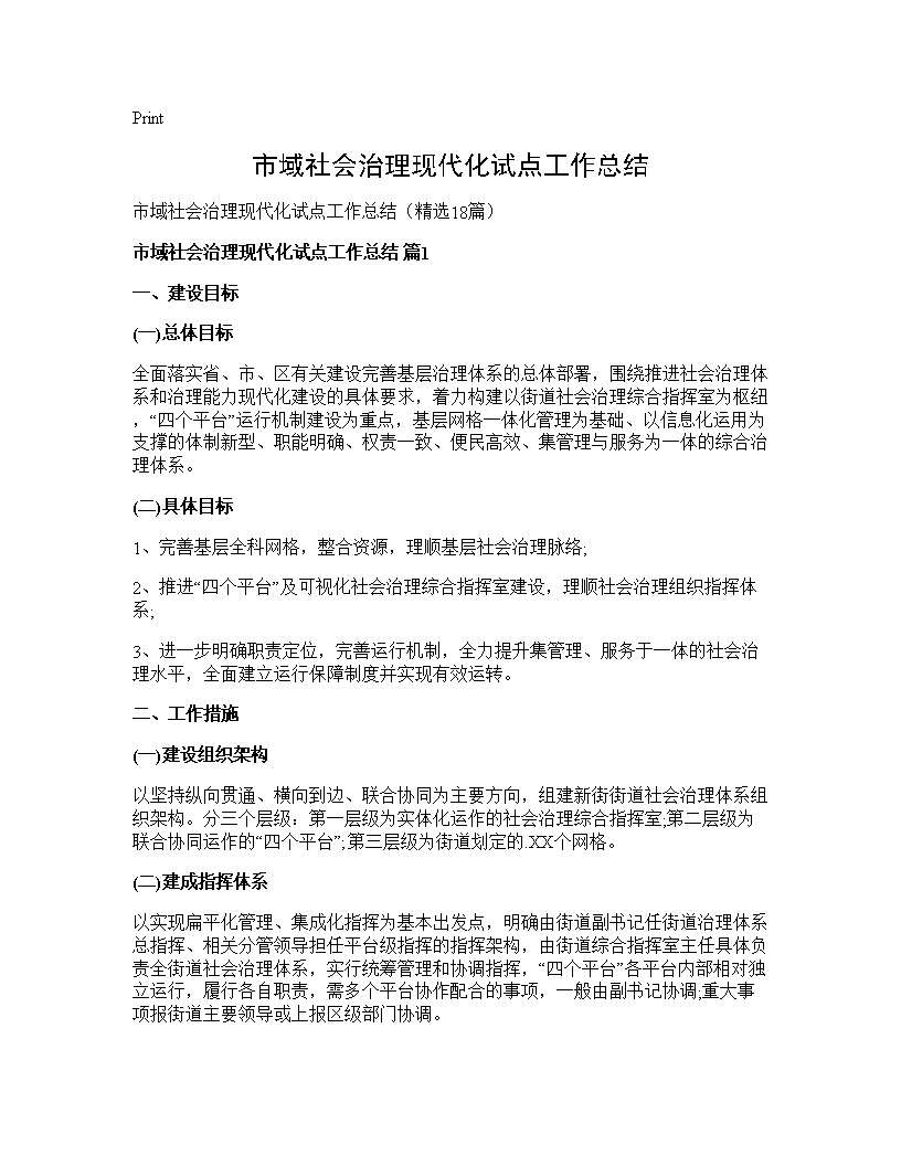 市域社会治理现代化试点工作总结18篇