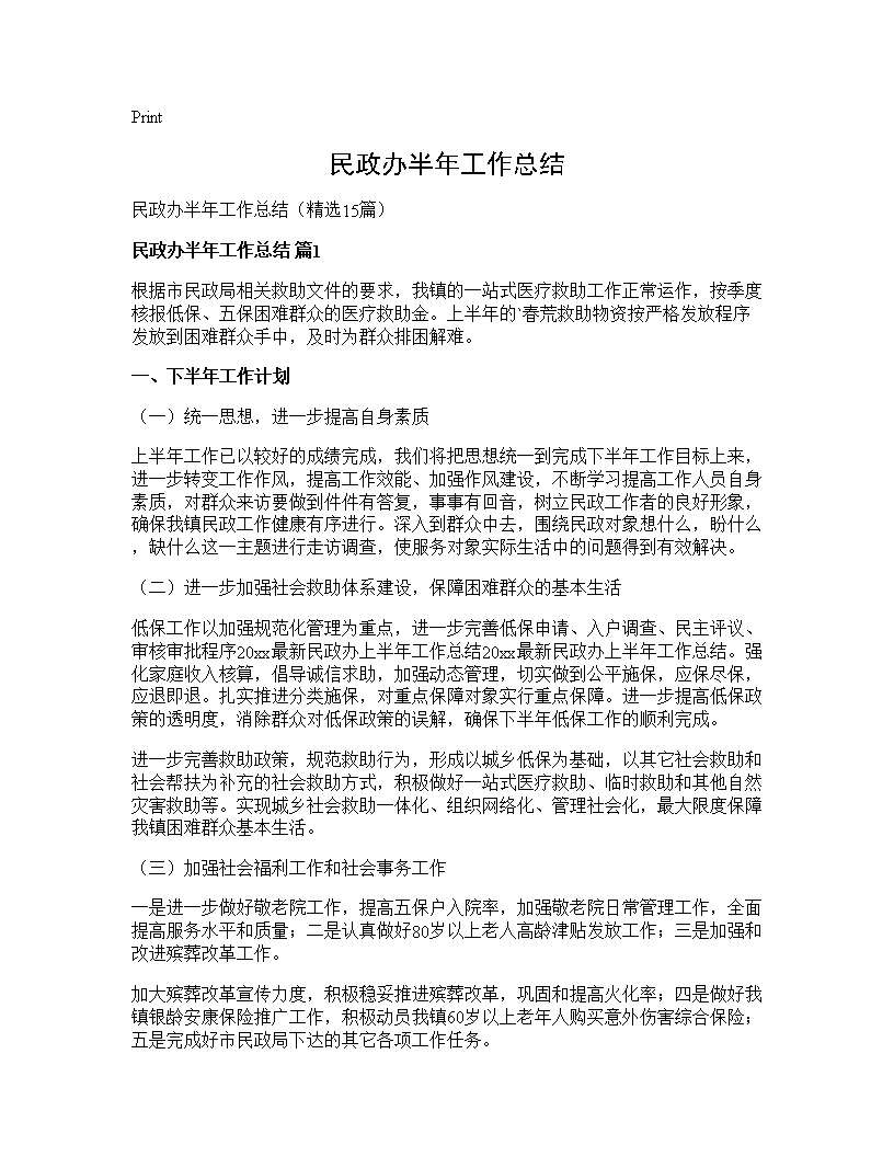 民政办半年工作总结 (共22页)