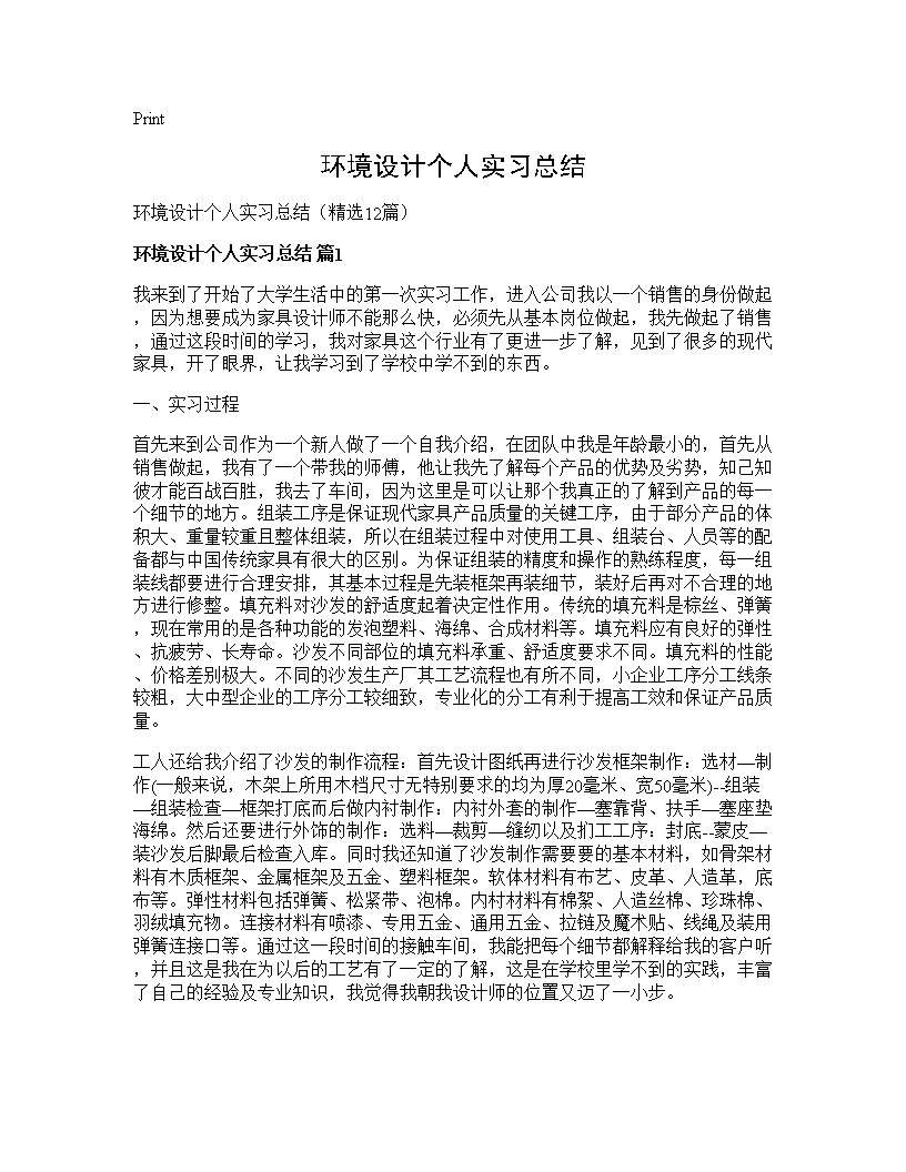 环境设计个人实习总结12篇