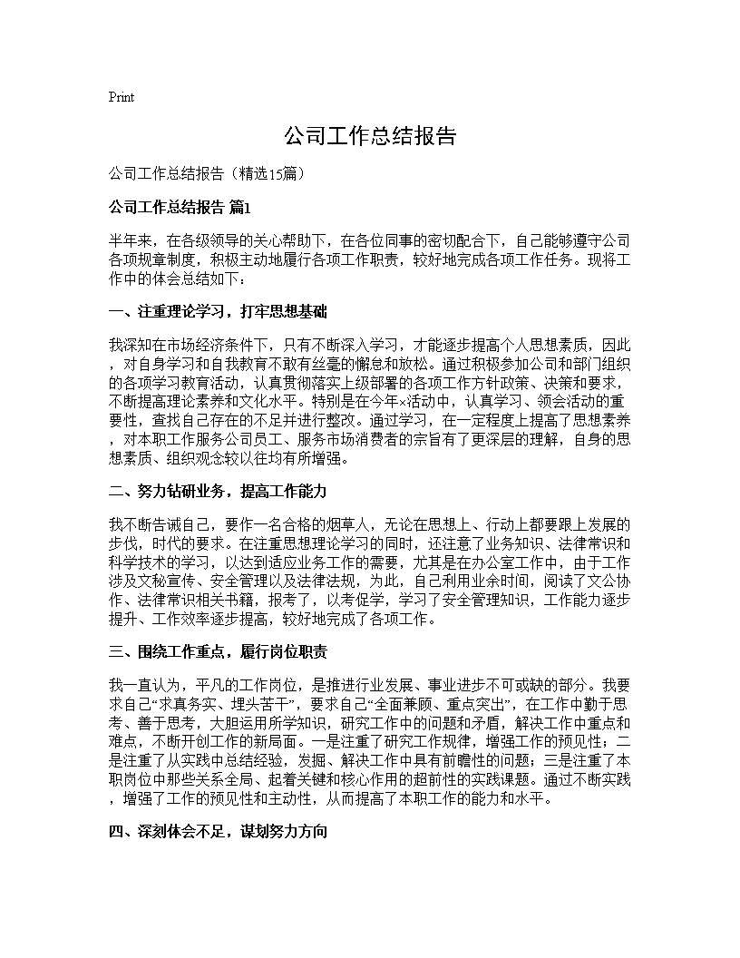 公司工作总结报告15篇