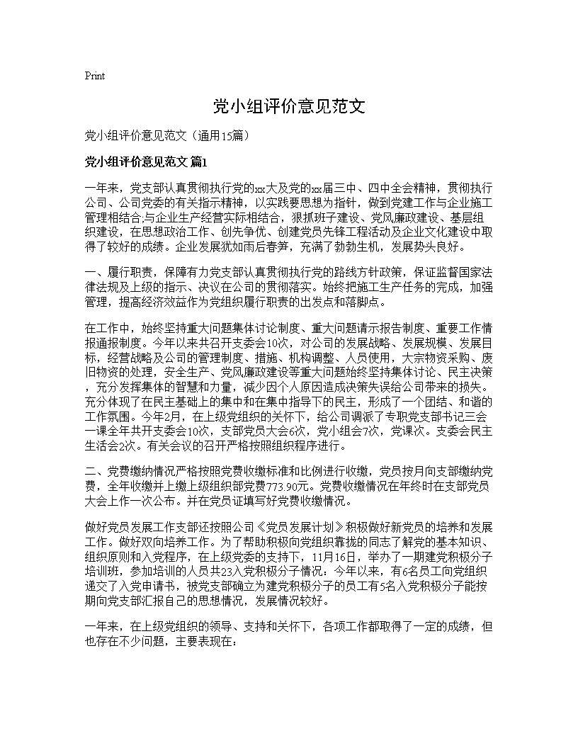 党小组评价意见范文15篇