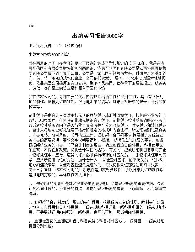 出纳实习报告3000字6篇