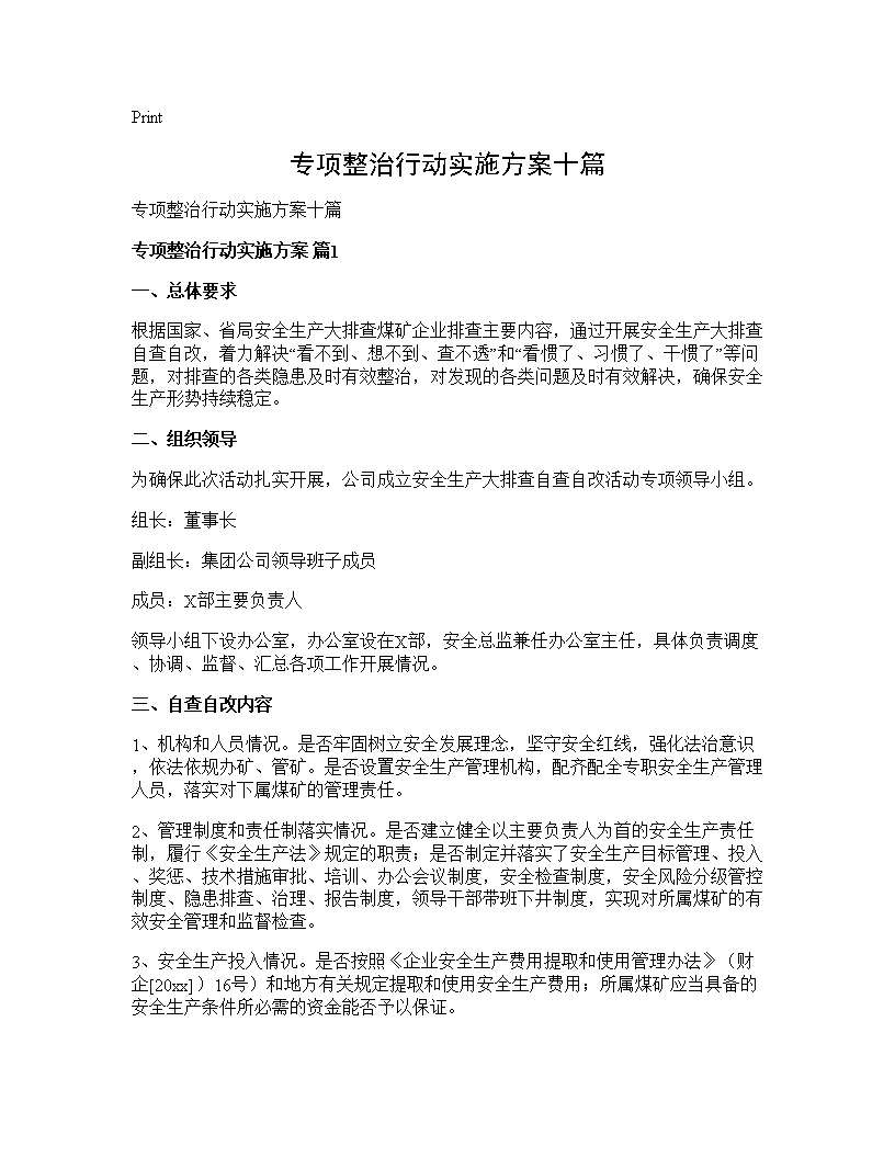 专项整治行动实施方案十篇