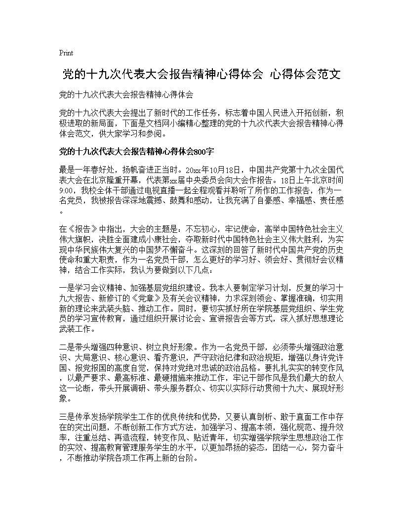 党的十九次代表大会报告精神心得体会 心得体会范文