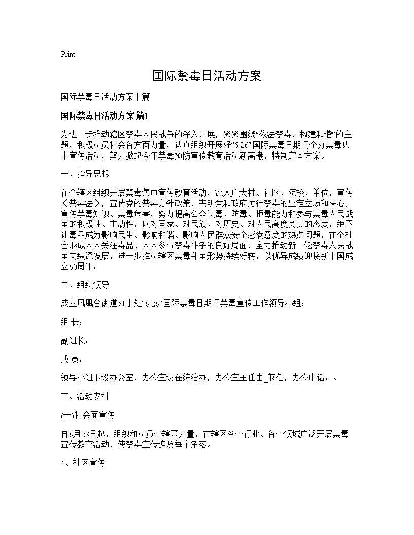 国际禁毒日活动方案