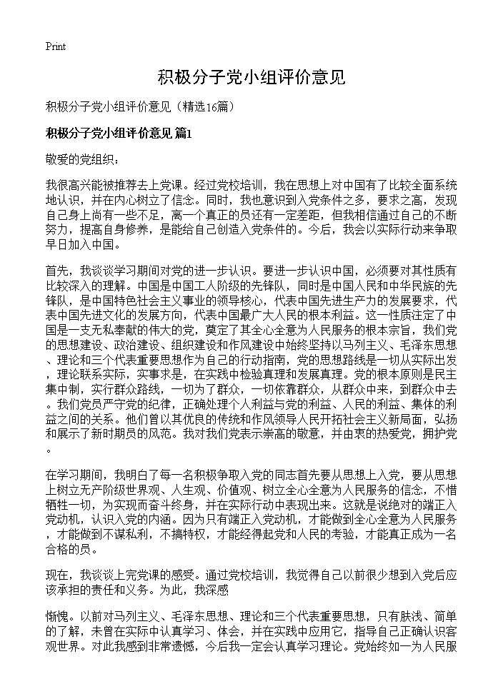 积极分子党小组评价意见16篇