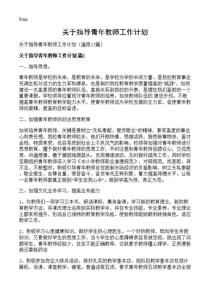 关于指导青年教师工作计划17篇