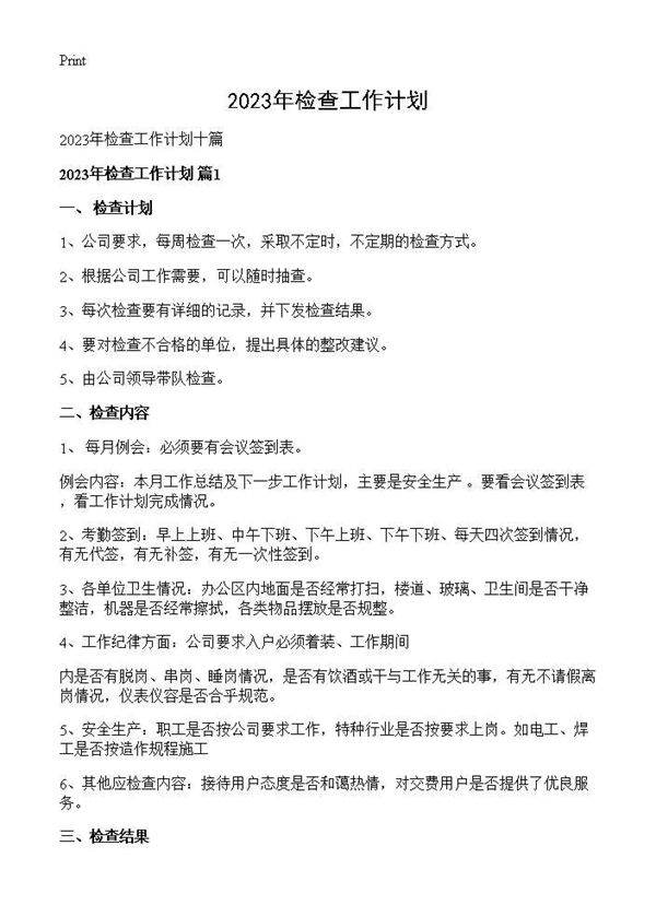 2025年检查工作计划