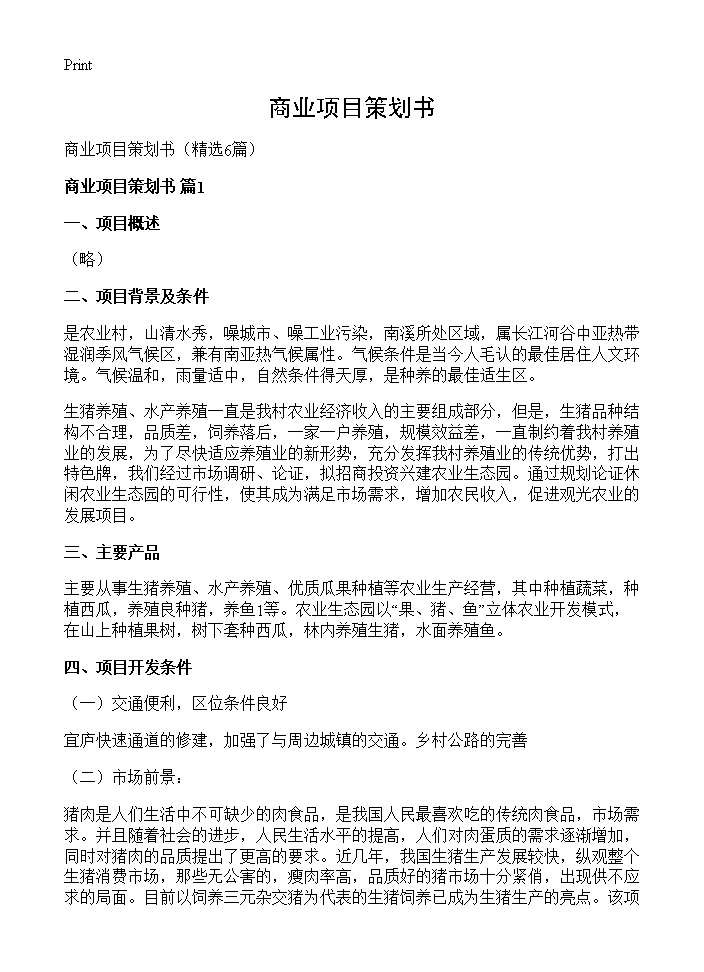 商业项目策划书6篇