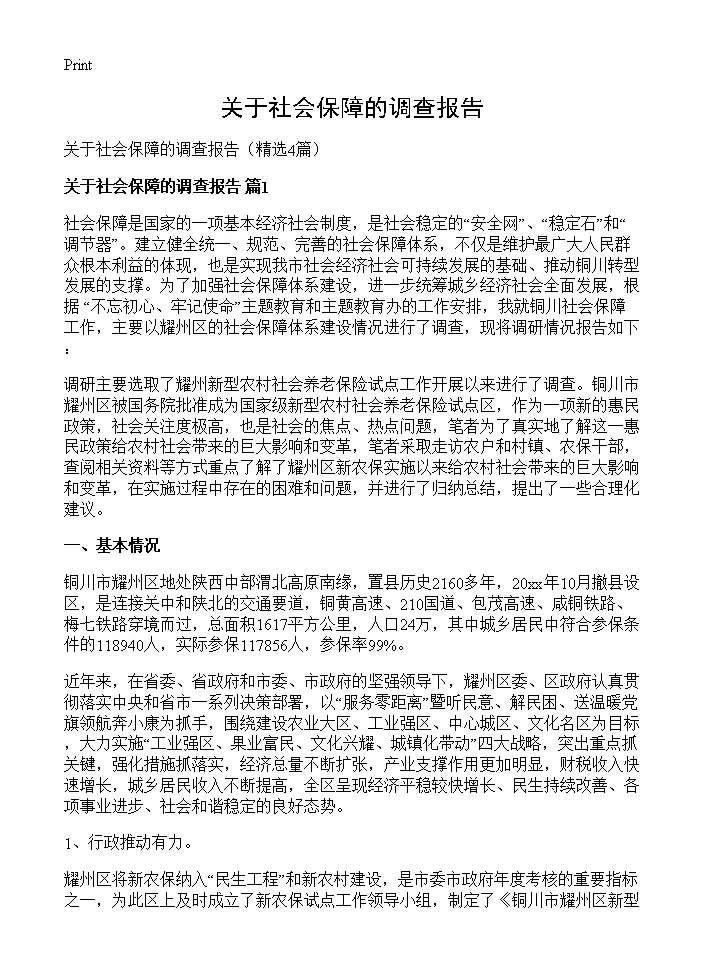 关于社会保障的调查报告4篇