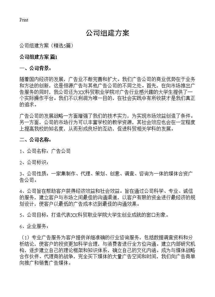 公司组建方案5篇