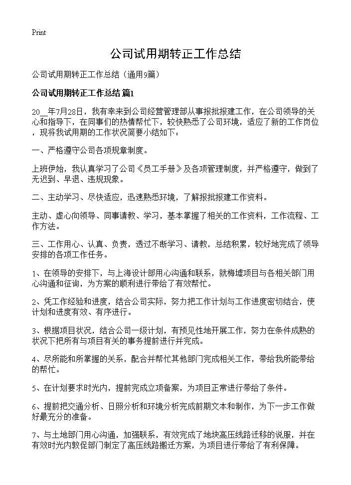 公司试用期转正工作总结9篇