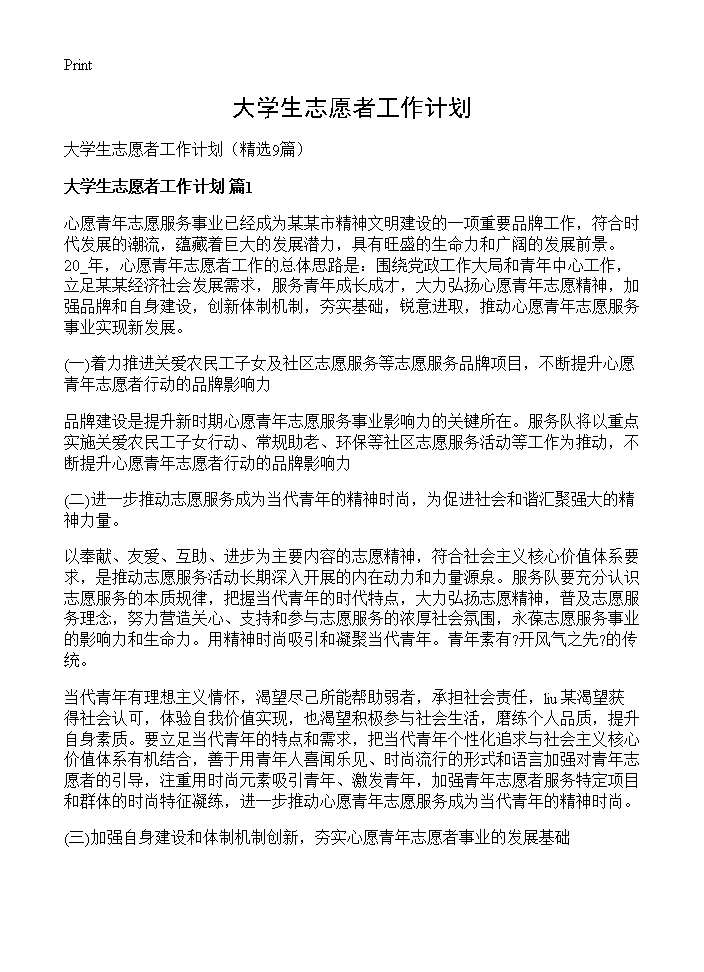 大学生志愿者工作计划 (共14页)