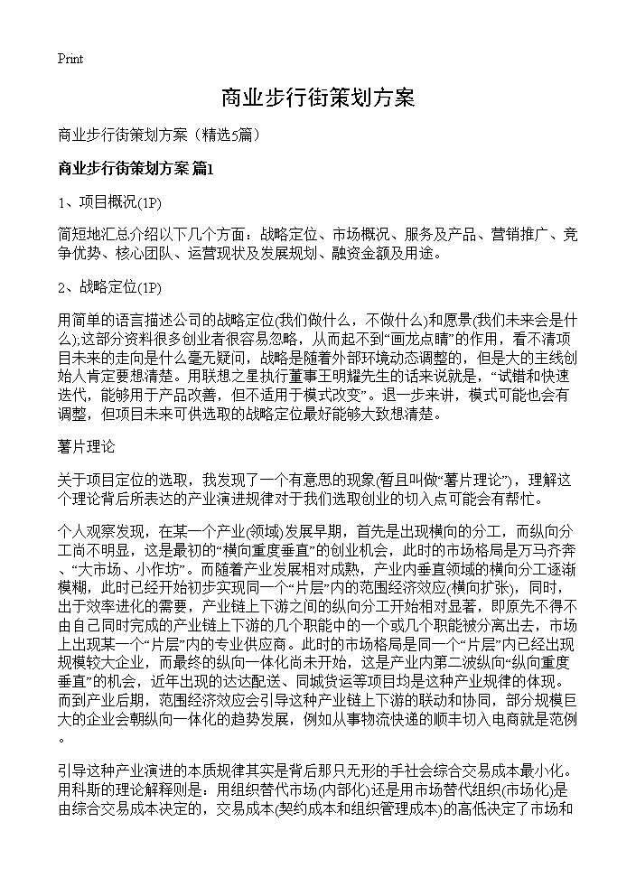 商业步行街策划方案5篇