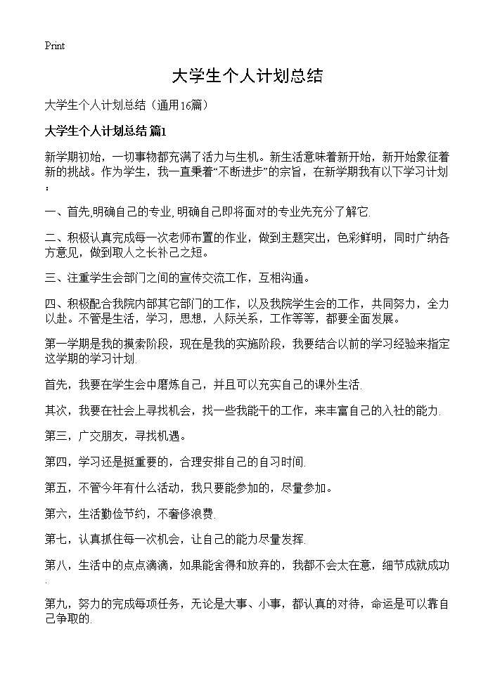 大学生个人计划总结16篇