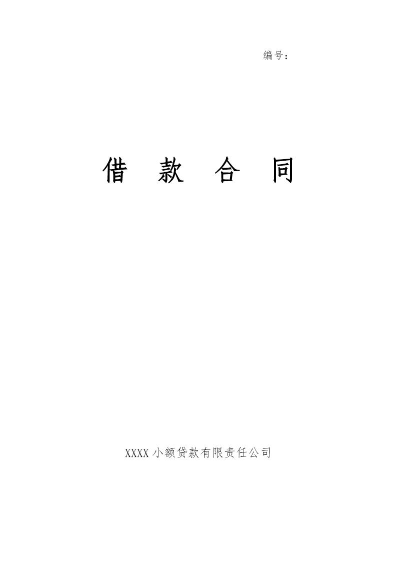 小额贷款公司借款合同