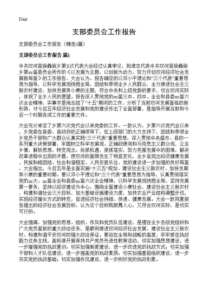 支部委员会工作报告5篇