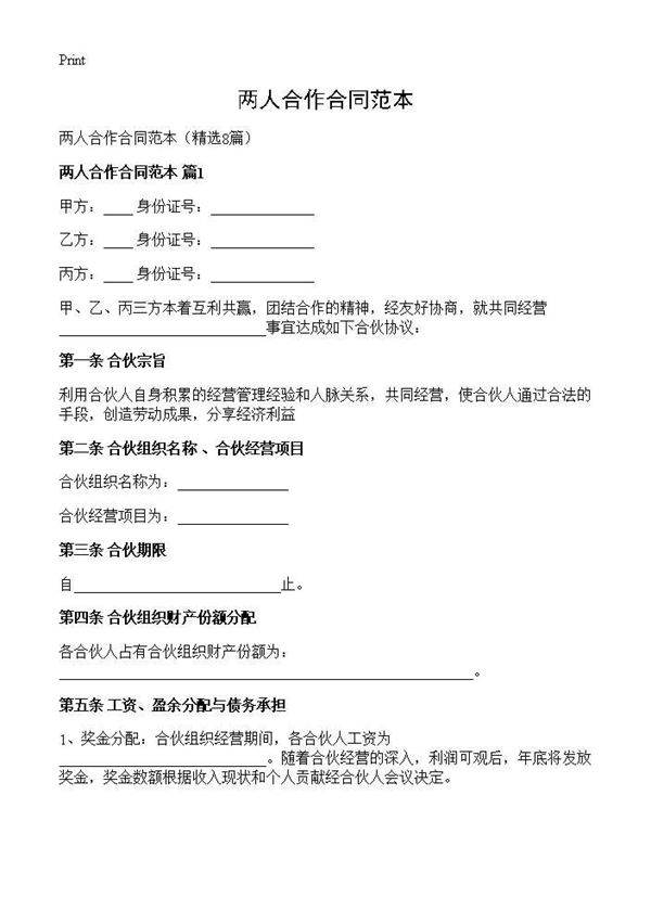 两人合作合同范本8篇