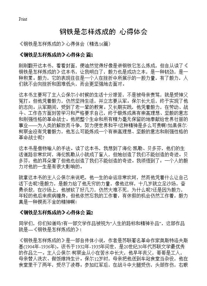 《钢铁是怎样炼成的》心得体会16篇