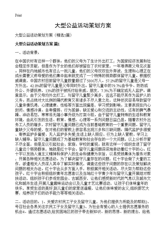 大型公益活动策划方案5篇