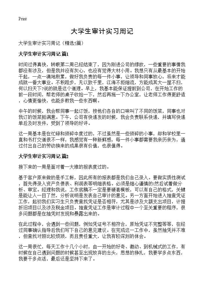 大学生审计实习周记5篇