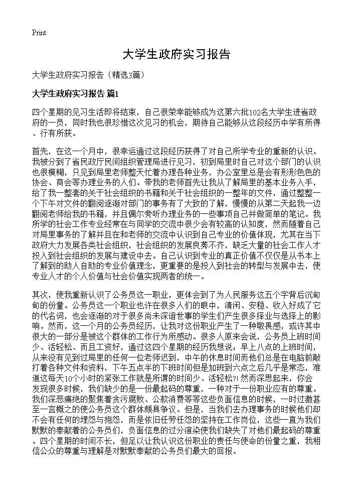 大学生政府实习报告3篇