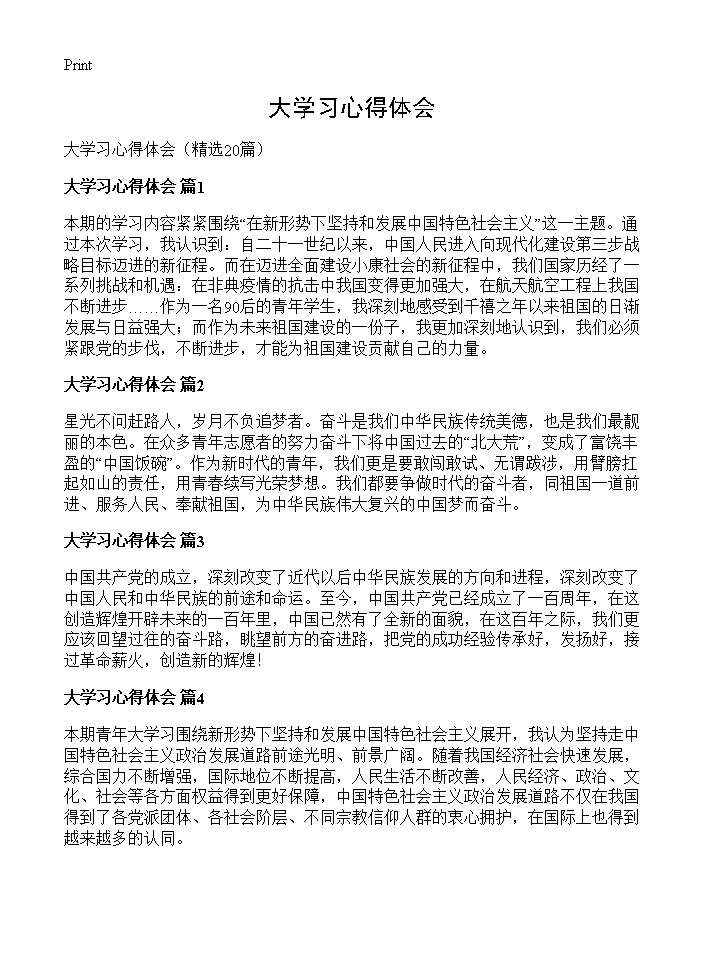 大学习心得体会20篇