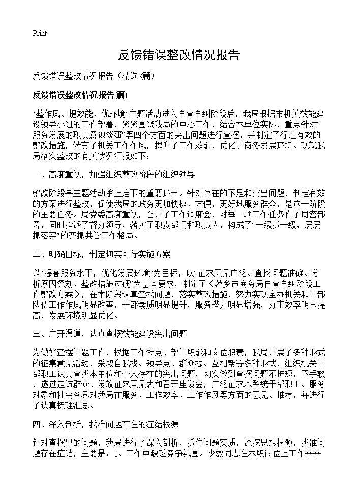 反馈错误整改情况报告3篇