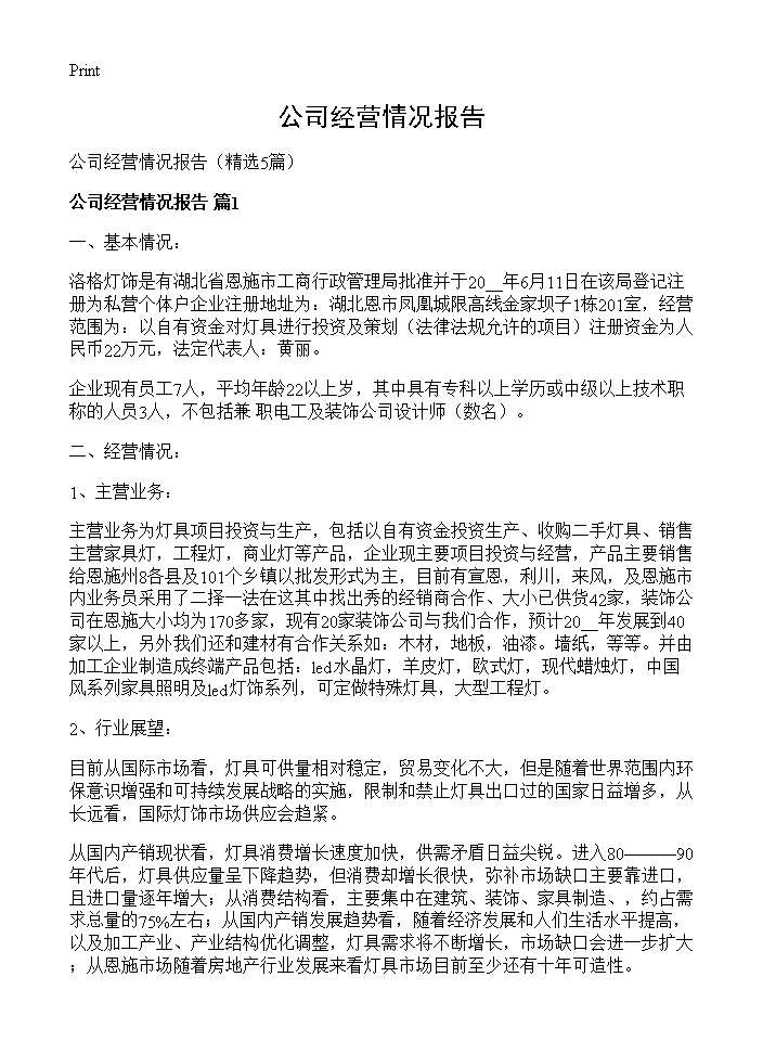 公司经营情况报告 (共6页)