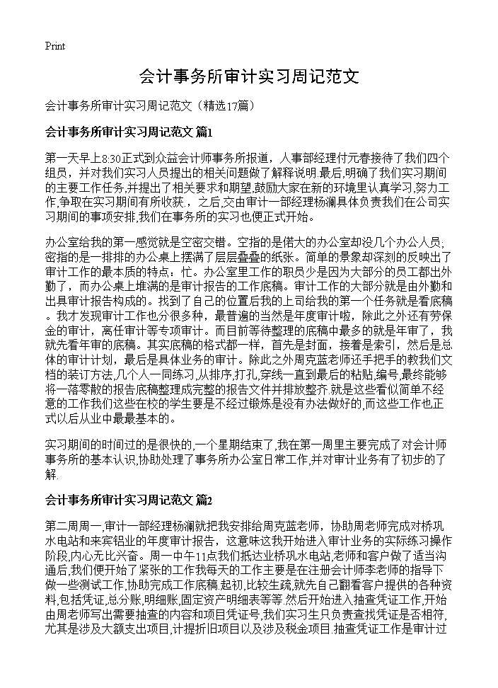 会计事务所审计实习周记范文17篇