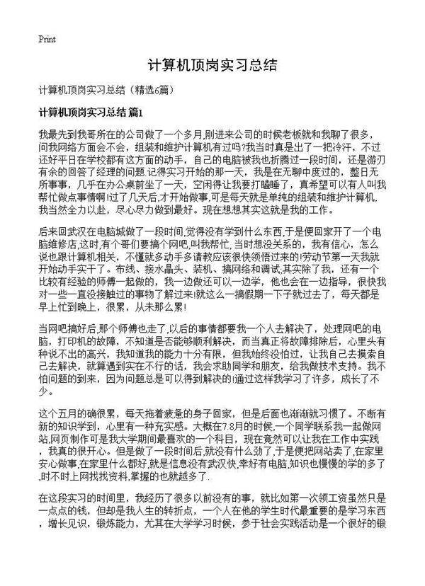 计算机顶岗实习总结6篇