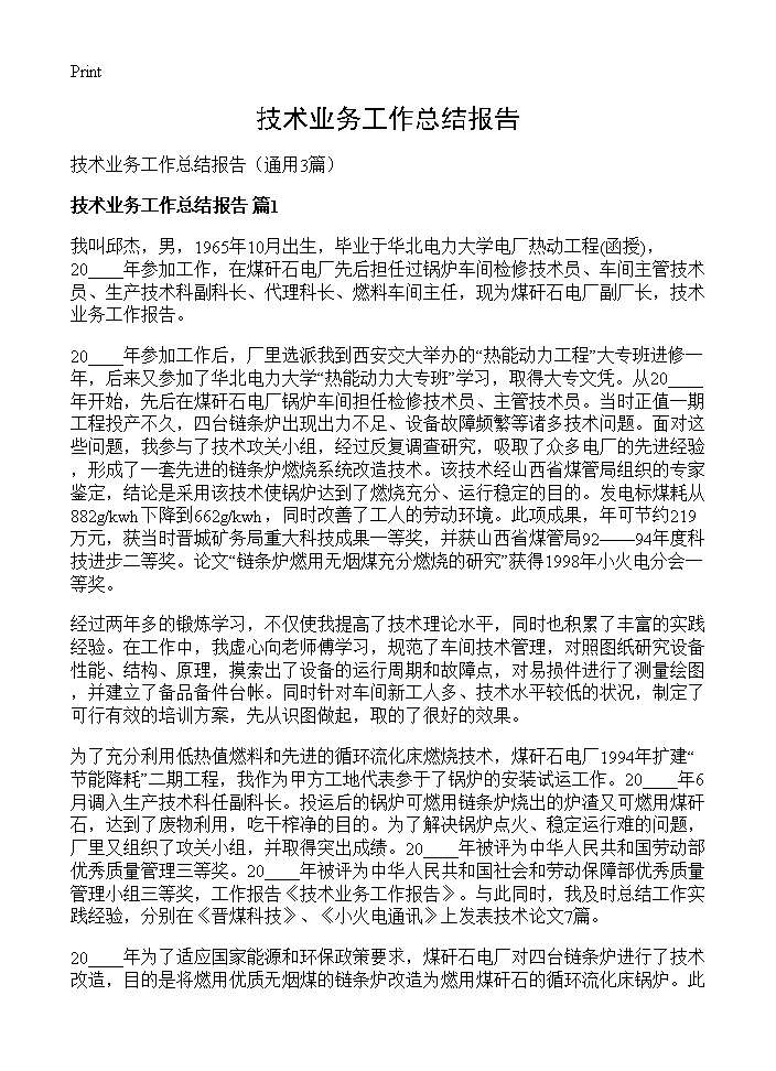 技术业务工作总结报告3篇