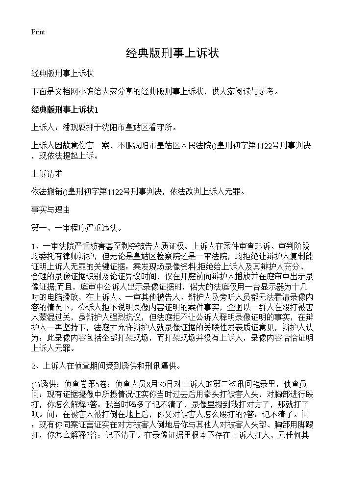 经典版刑事上诉状