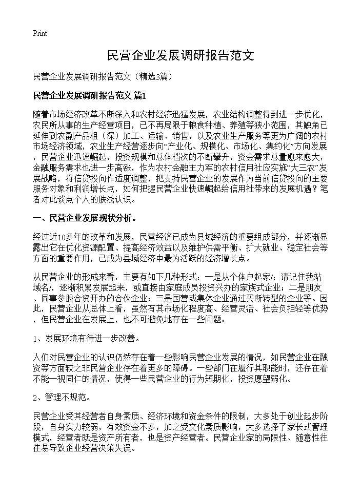 民营企业发展调研报告范文3篇