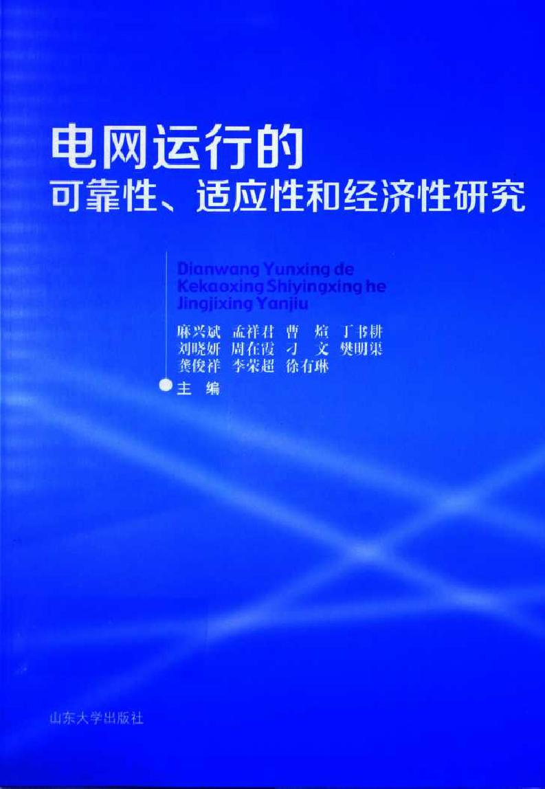 电网运行的可靠性 适应性和经济性研究