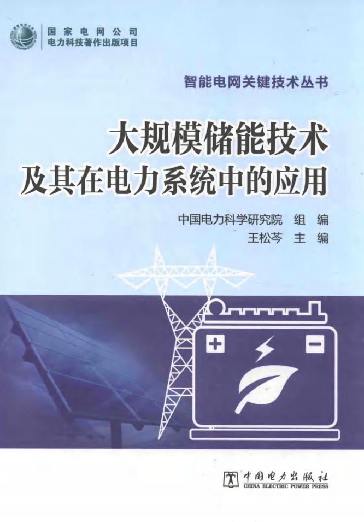 智能电网关键技术丛书 大规模储能技术及其在电力系统中的应用