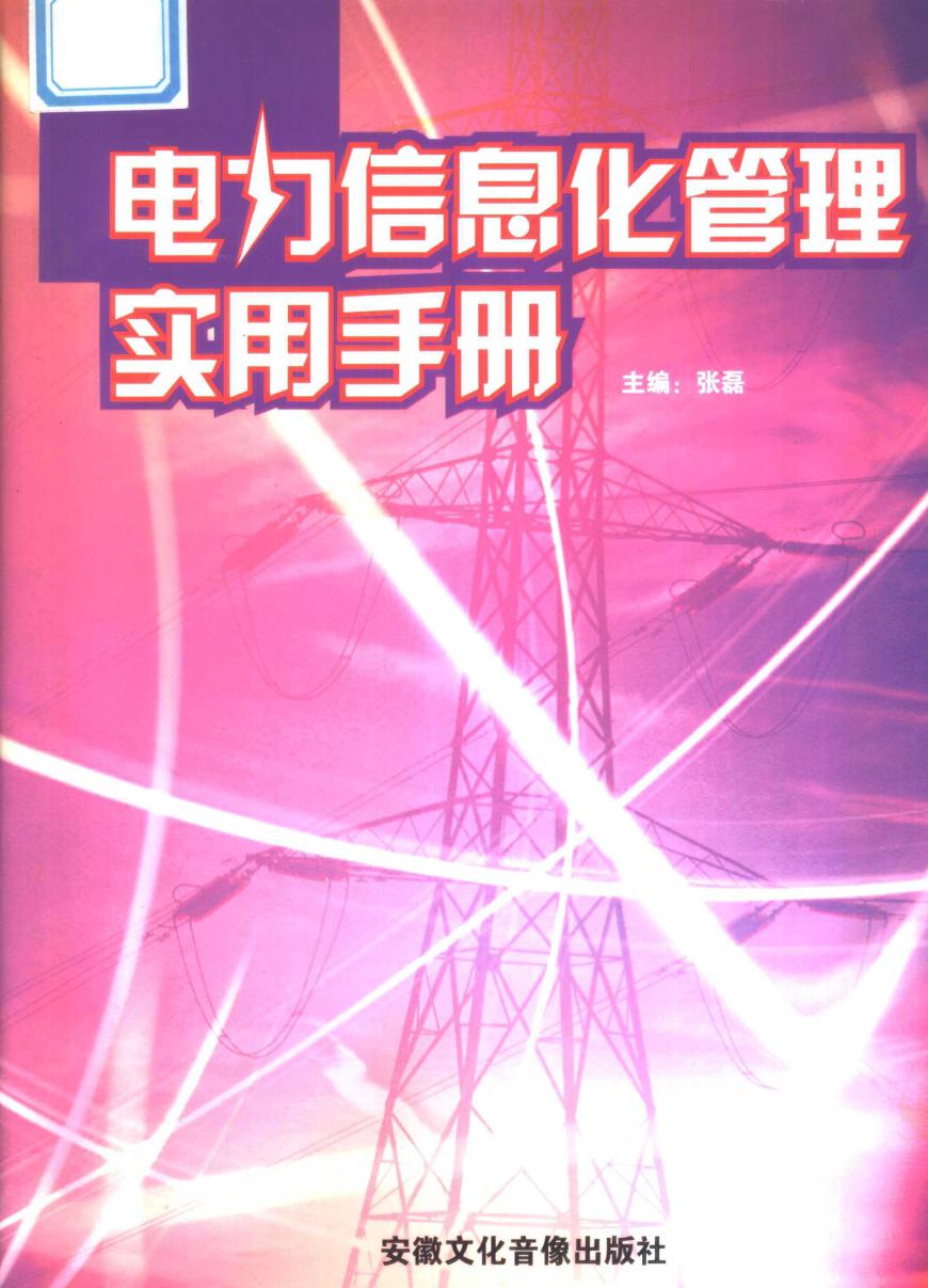 电力信息化管理实用手册 第2卷