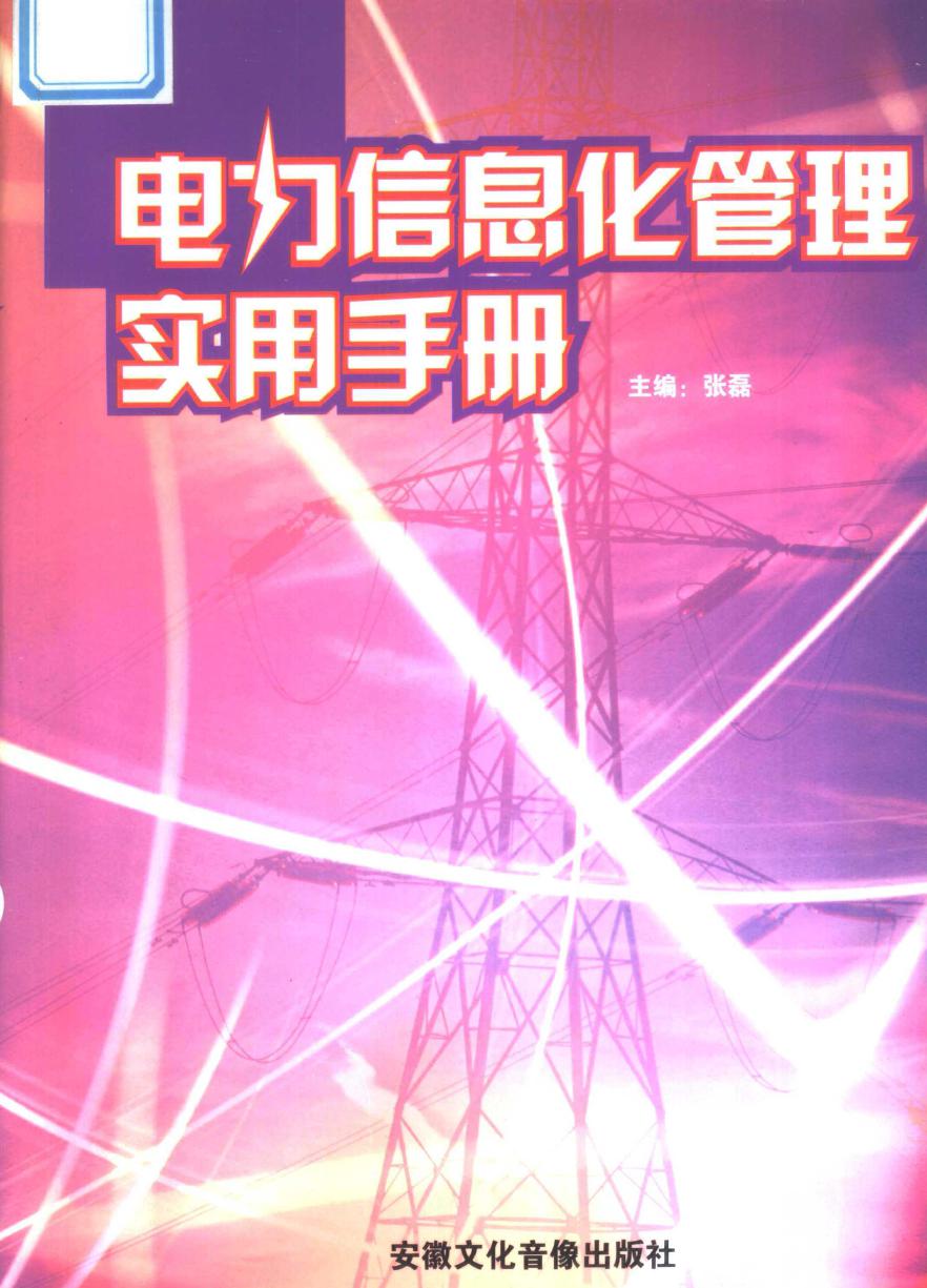 电力信息化管理实用手册 第3卷