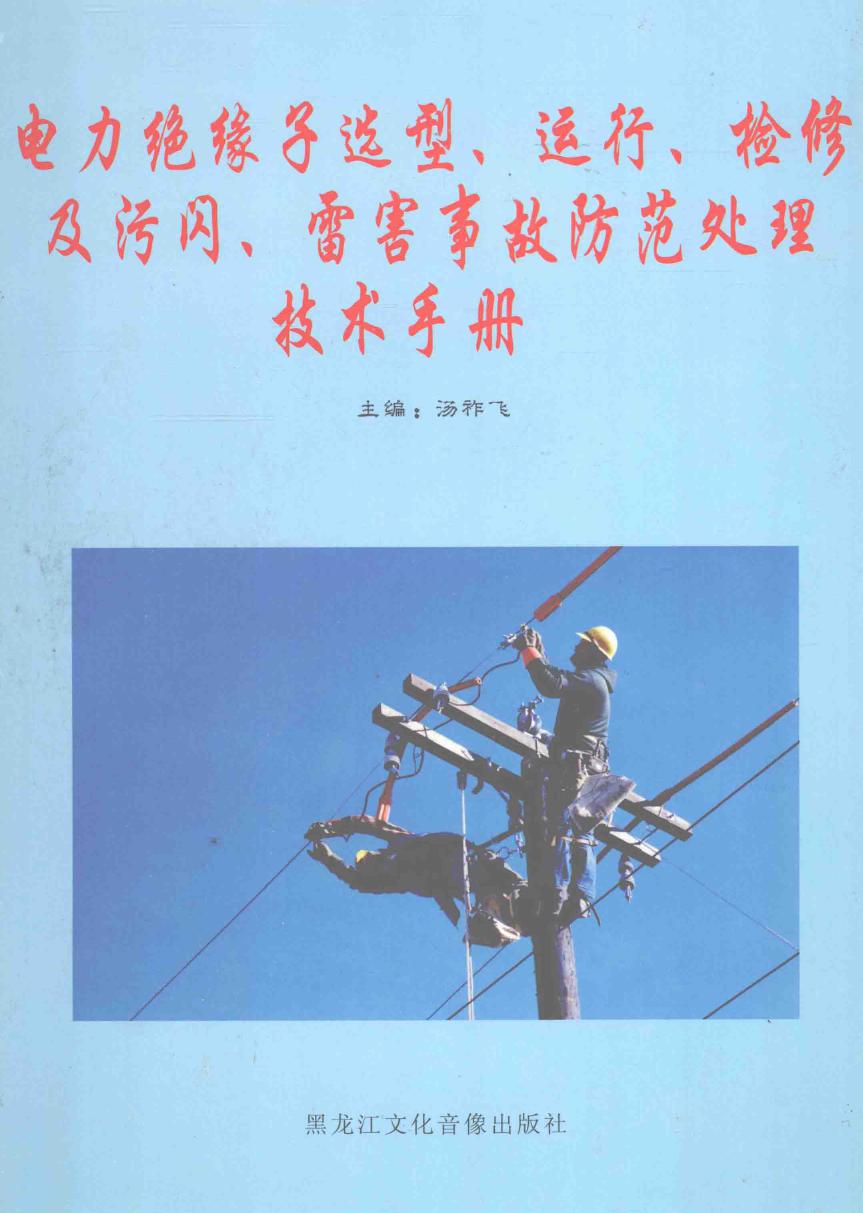 电力绝缘子选型 运行 检修及污闪 雷害事故防范处理技术手册 第2卷