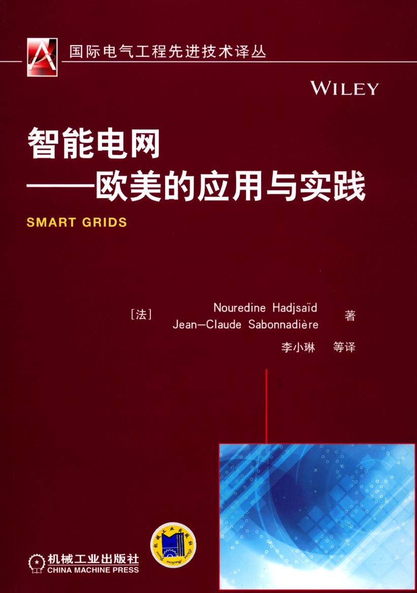 国际电气工程先进技术译丛 智能电网 欧美的应用与实践 高清可编辑文字版
