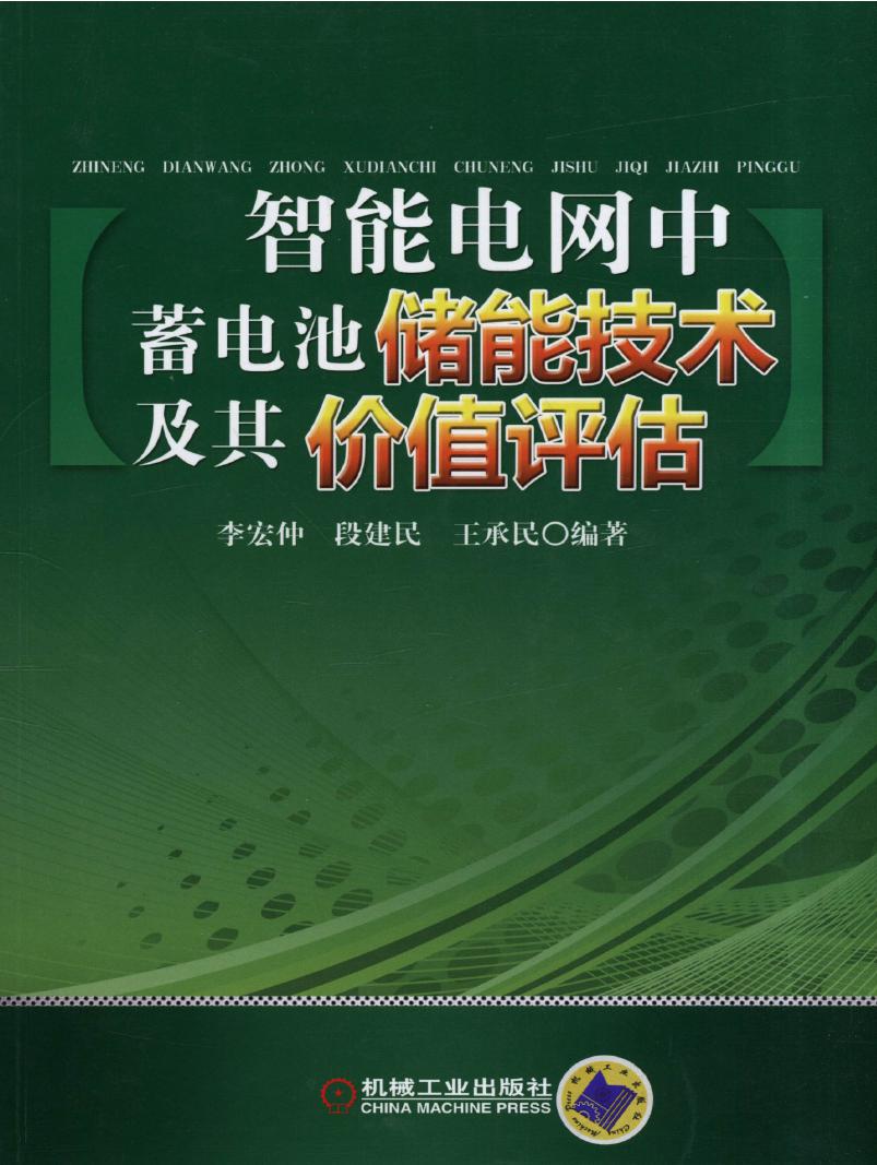 智能电网中蓄电池储能技术及其价值评估 高清可编辑文字版